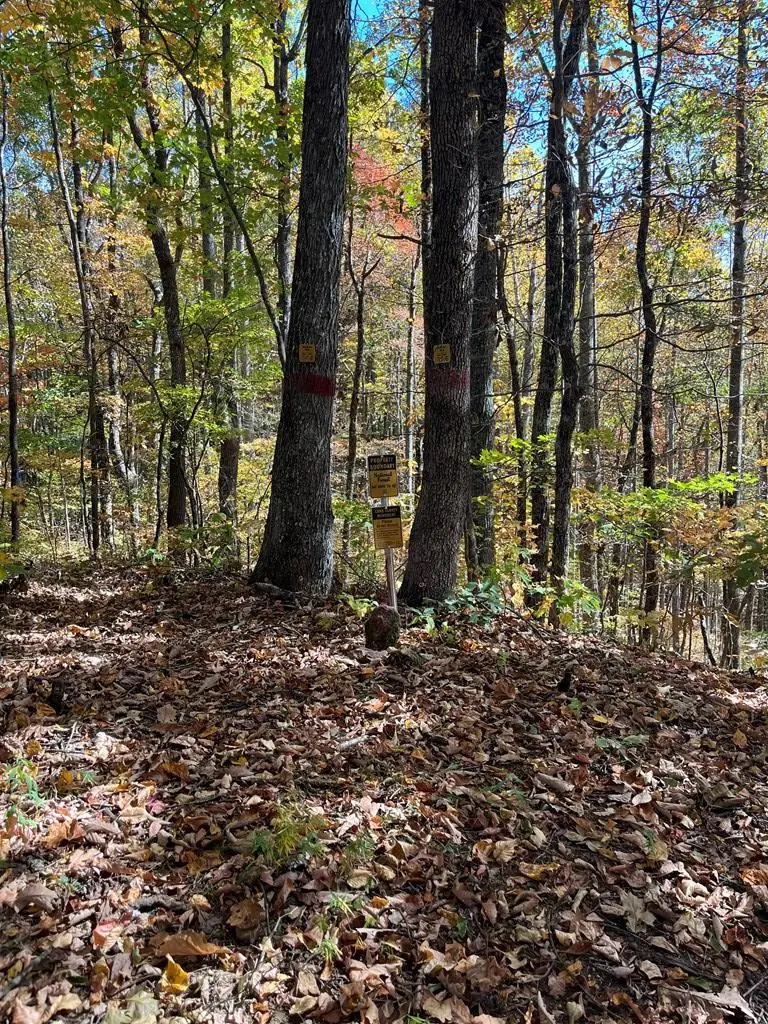 Lot 9 Black Bear Trail, Hiawassee, GA 30546 - #3