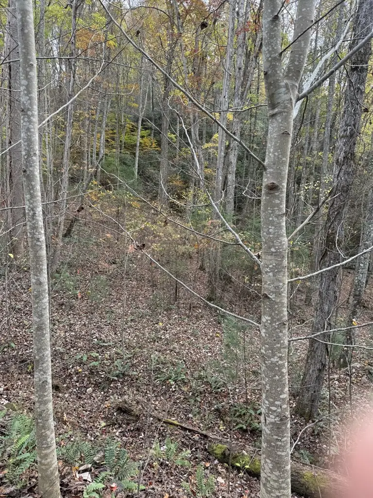 00 Heritage Trail, Brasstown, NC 28902 - Image #3