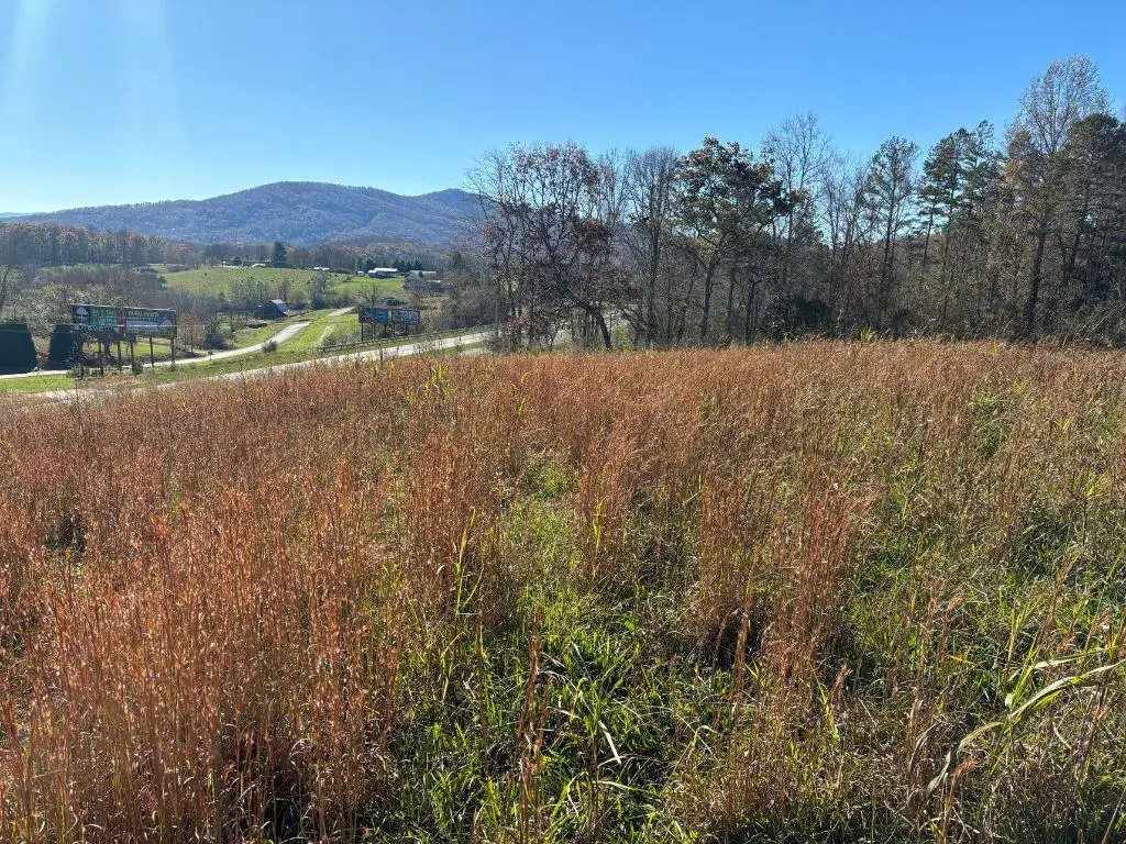 Lots 1-4 Windy Ridge & Hwy 69, Hayesville, NC 28904 - Image #1