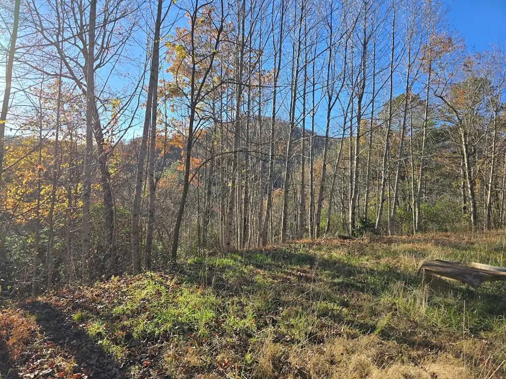 4730 Laurel Mountain Rd, Hiawassee, GA 30546 - #1