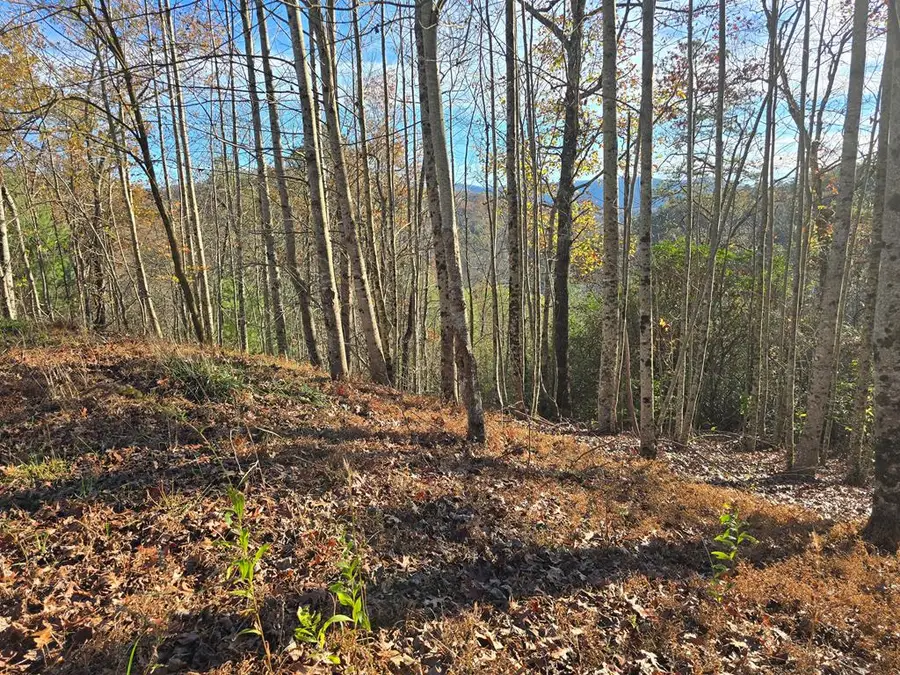 4730 Laurel Mountain Rd, Hiawassee, GA 30546 - #2