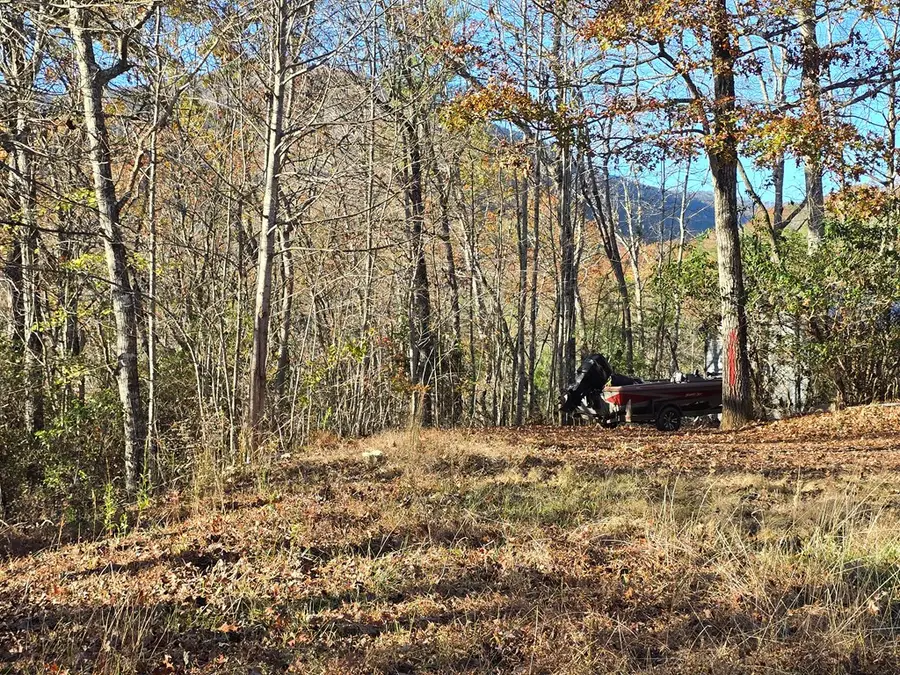 4730 Laurel Mountain Rd, Hiawassee, GA 30546 - #3