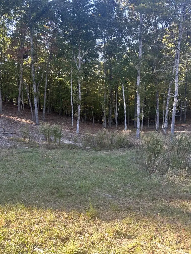 Lot 42 Ridge Dr, Morganton, GA 30560 - Image #1