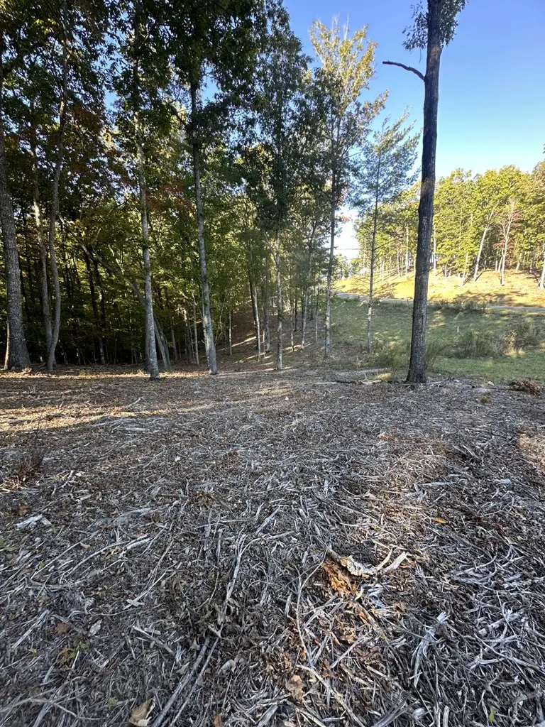 Lot 42 Ridge Dr, Morganton, GA 30560 - Image #3