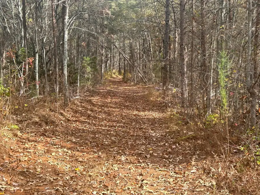 # Staffordtown Road, Copperhill, TN 37317 - Image #2