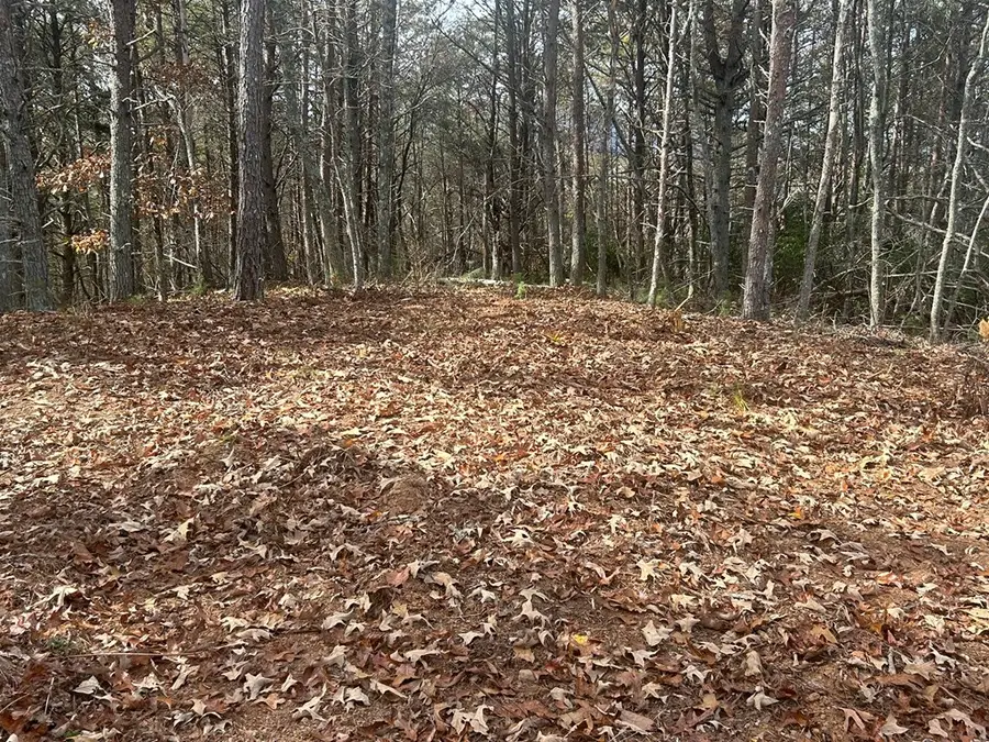 # Staffordtown Road, Copperhill, TN 37317 - Image #3