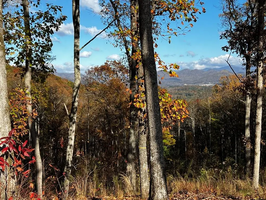 Lot 118 Winding Ridge, Blairsville, GA 30512 - #1