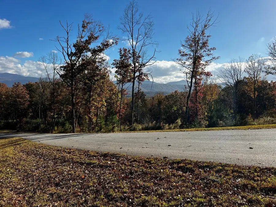 Lot 118 Winding Ridge, Blairsville, GA 30512 - #2