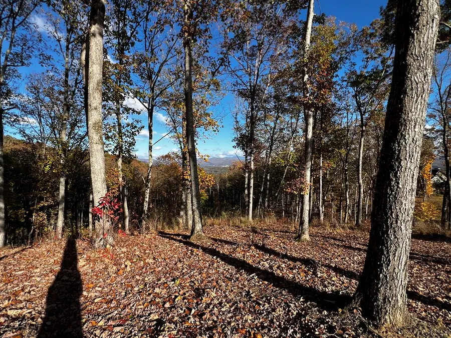 Lot 118 Winding Ridge, Blairsville, GA 30512 - #3