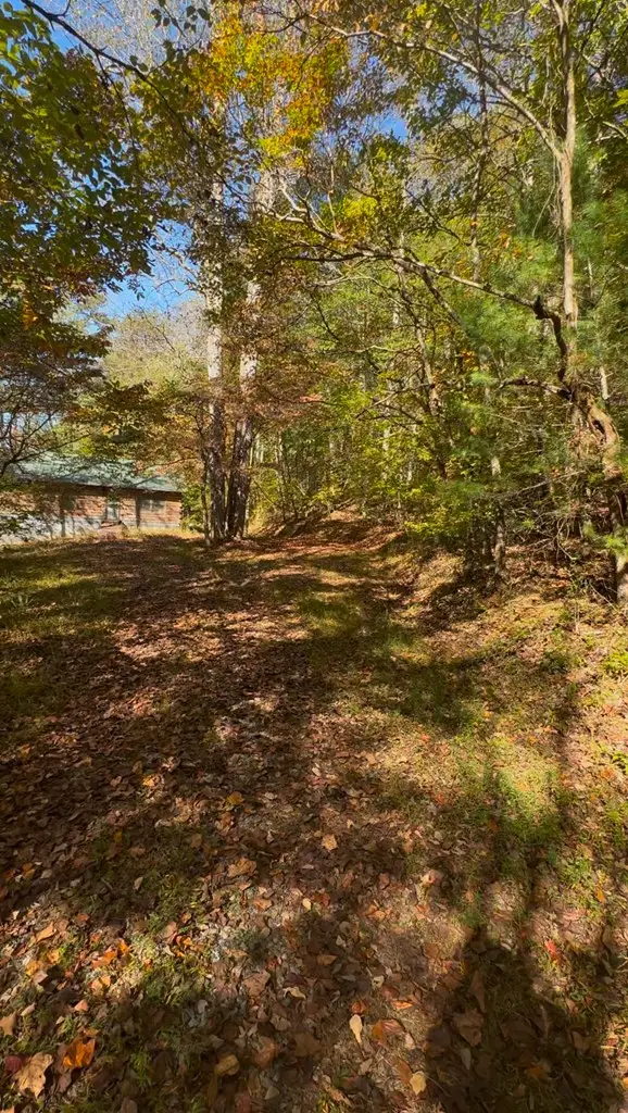 156 Ellis Ford Road, Morganton, GA 30560 - Image #2