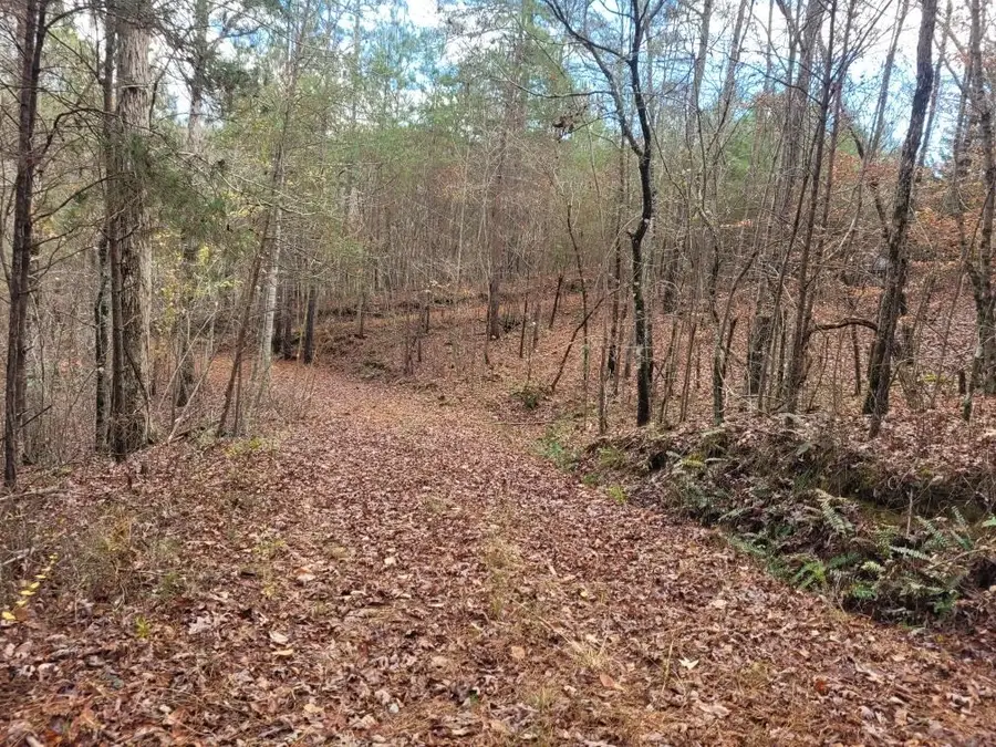 18.22 Talona Road, Ellijay, GA 30540 - Image #2