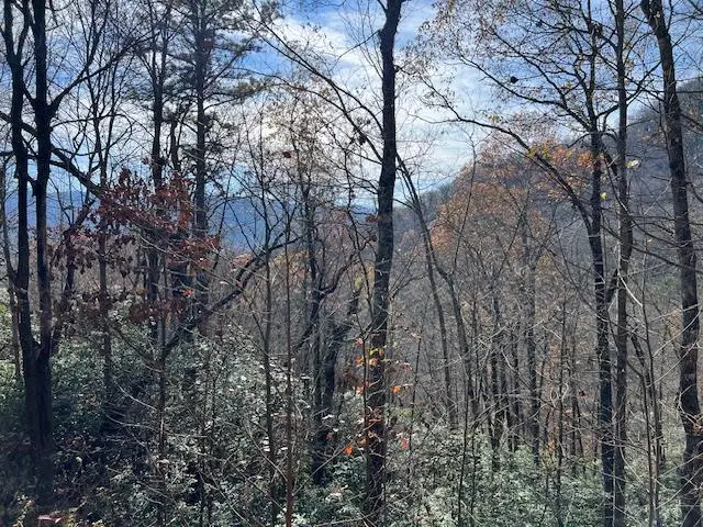 Lot 19 The Highlands, Hiawassee, GA 30546 - Image #1