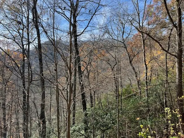 Lot 19 The Highlands, Hiawassee, GA 30546 - Image #2