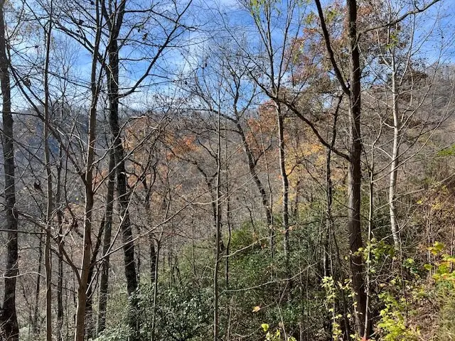 Lot 19 The Highlands, Hiawassee, GA 30546 - Image #3