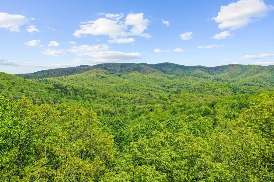 LT 19 Forest Ridge Drive, Blue Ridge, GA 30540 - #2