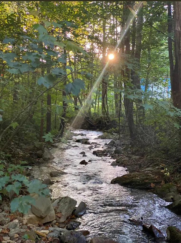 Lot 6 Katerina Lane, Murphy, NC 28906 - Image #1