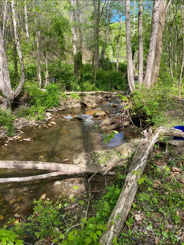 Lot 6 Katerina Lane, Murphy, NC 28906 - Image #3