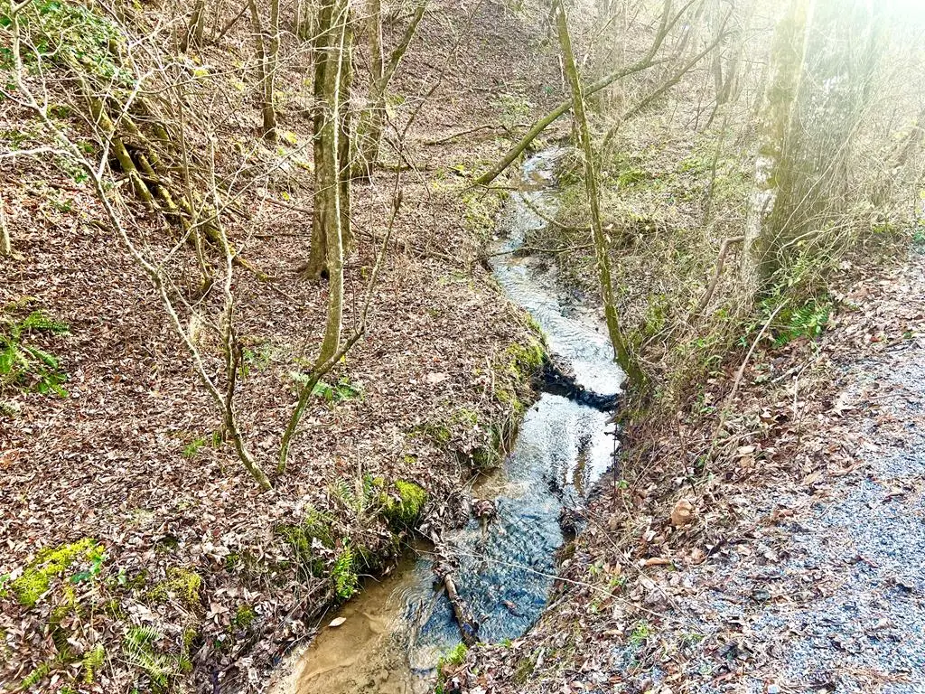 12 ACRE Pleasant Gap Road, Ellijay, GA 30540 - Image #1