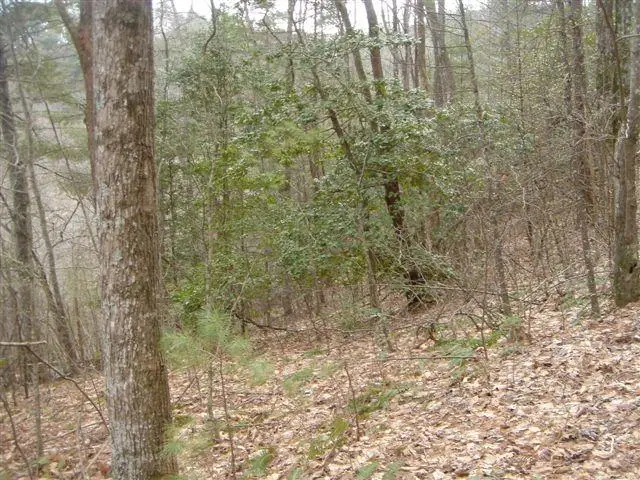 Lot 18 Highland Crossing, Blairsville, GA 30512 - #1