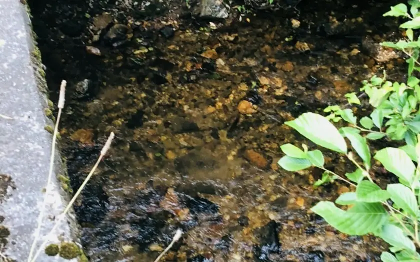 99/98 Hi River Country, Hiawassee, GA 30546 - Image #3