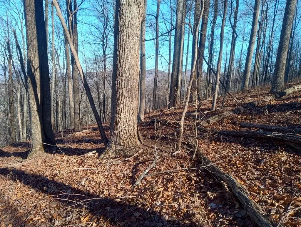 LT M214 Walnut Ridge, Ellijay, GA 30536 - Image #1