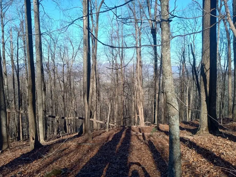 LT M214 Walnut Ridge, Ellijay, GA 30536 - Image #2