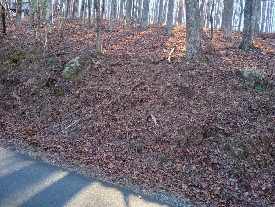 LT M214 Walnut Ridge, Ellijay, GA 30536 - Image #3