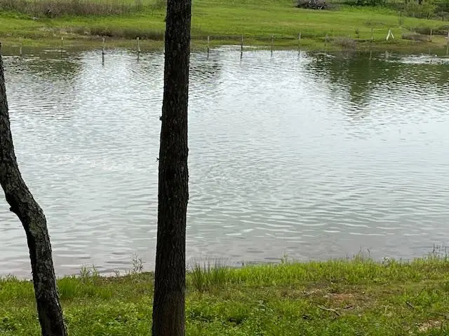 Lot 24 Arden Lane, Hayesville, NC 28904 - Image #3