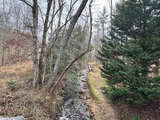 941 Georgia 66, Young Harris, GA 30582 - Image #3