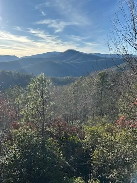 10 The Ridges /bill Bro, Hiawassee, GA 30546 - Image #3