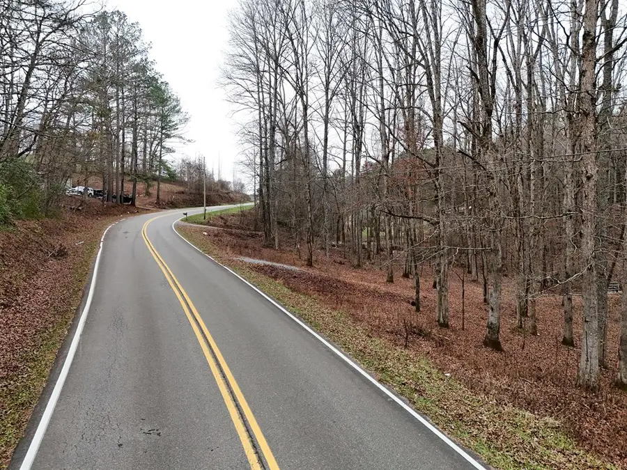 0 Dills Road, Blue Ridge, GA 30513 - #2