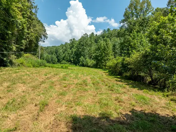 TR 3B Wolf Pen Gap Road, Ellijay, GA 30540