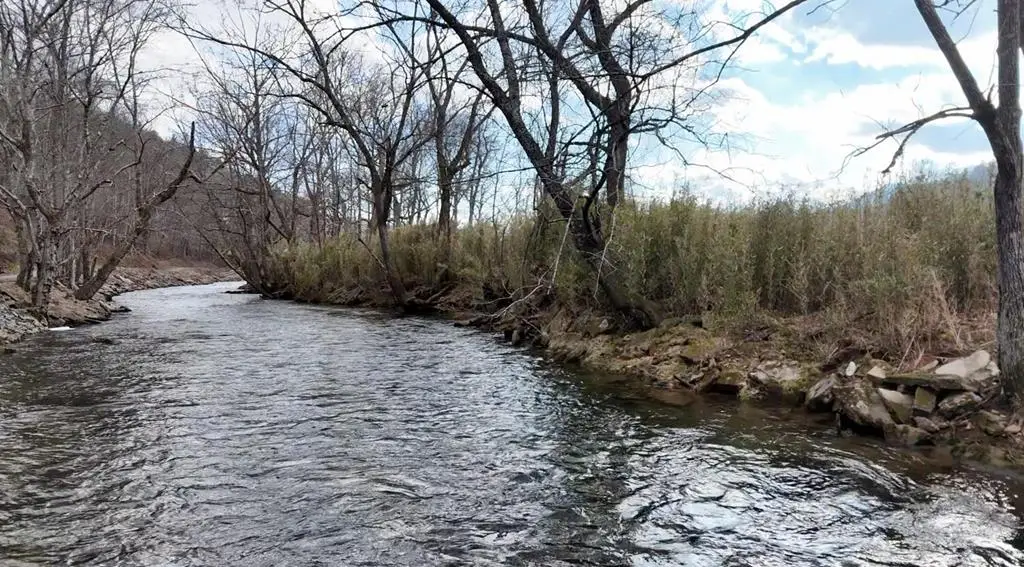 Tract 3 Riverside Meadow Drive, Hiawassee, GA 30546 - #1