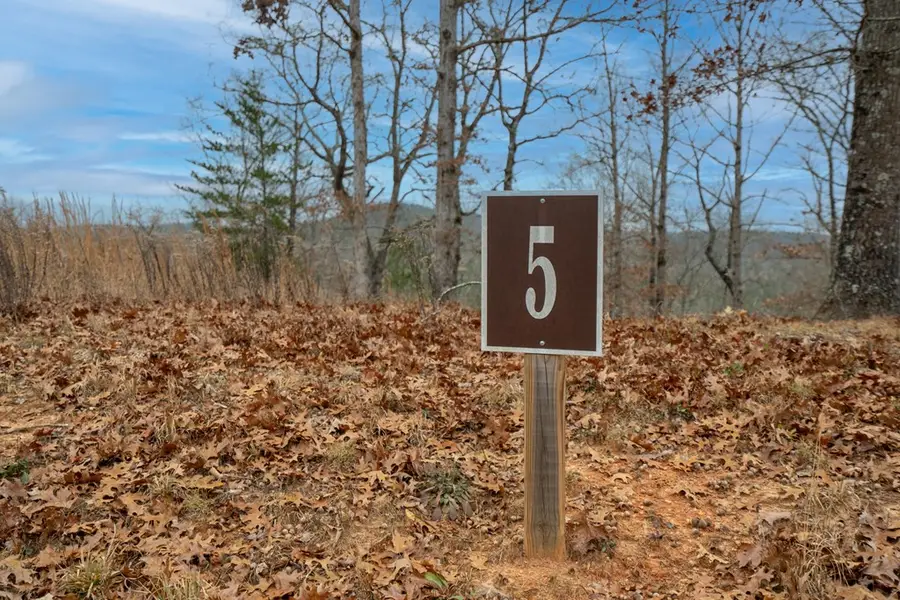 Lot 5 Blalock Mountain Road, Talking Rock, GA 30175 - Image #3