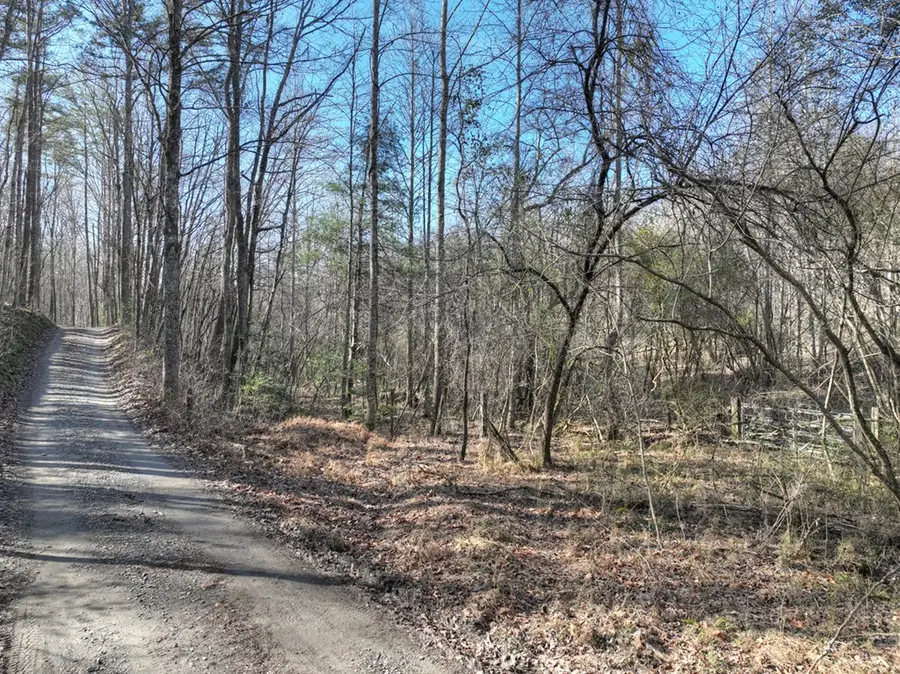 0 Arp Road, Mineral Bluff, GA 30559 - Image #2