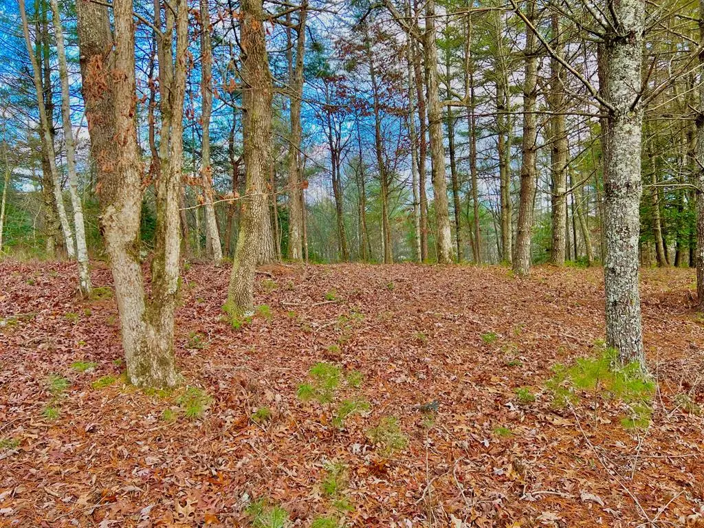 Lot 5 Hawks View, Morganton, GA 30560 - Image #1