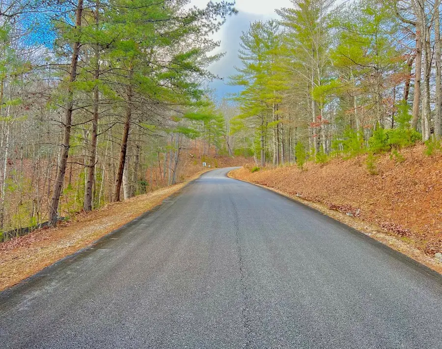 Lot 5 Hawks View, Morganton, GA 30560 - Image #3