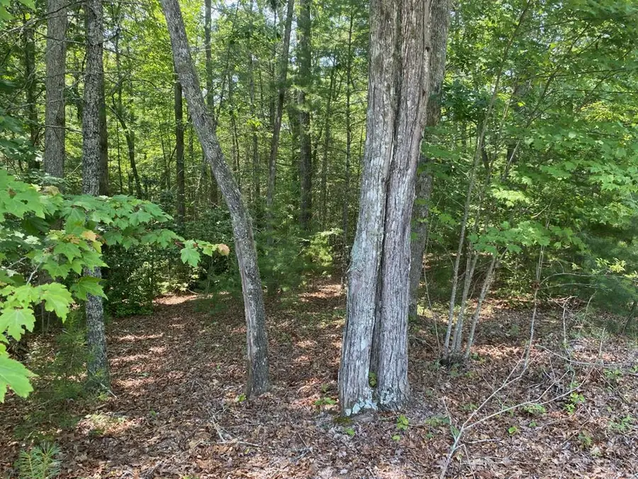 Lot 34 Point Overlook Trail, Murphy, NC 28906 - Image #2