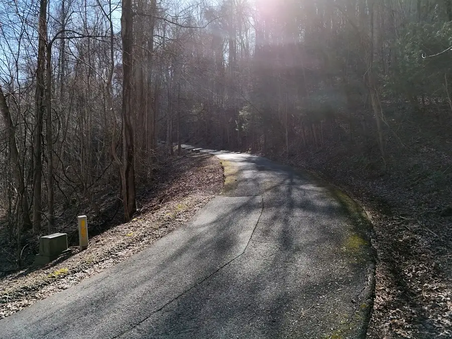 Lot E5 Flat Rock Gap Road, Blairsville, GA 30512 - Image #3