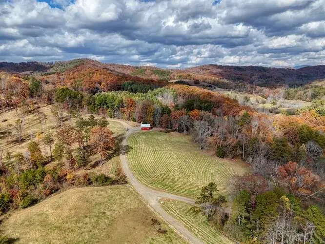 902 Deitz Cable Road, Warne, NC 28909 - Image #1