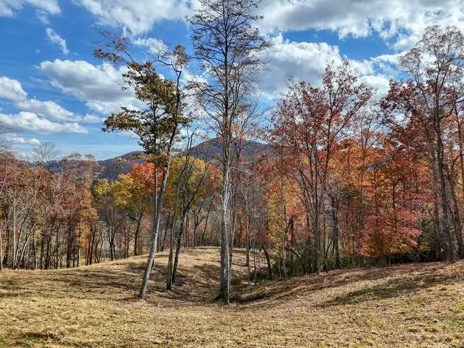 902 Deitz Cable Road, Warne, NC 28909 - Image #3