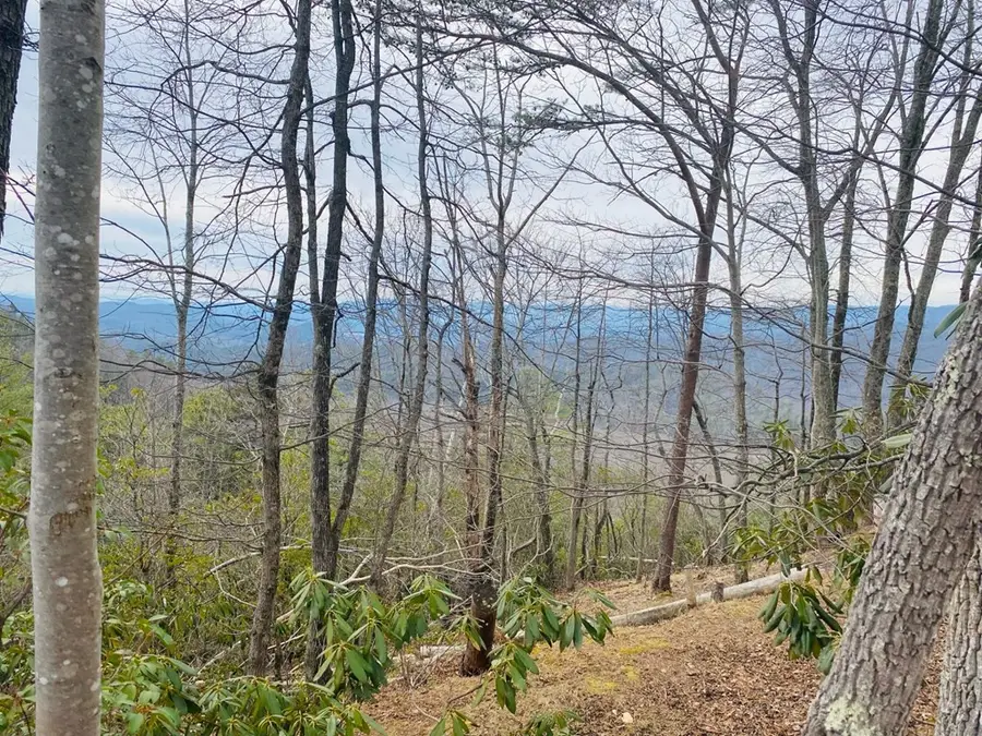 Lot 46 Ridge View Drive, Andrews, NC 28901 - Image #2