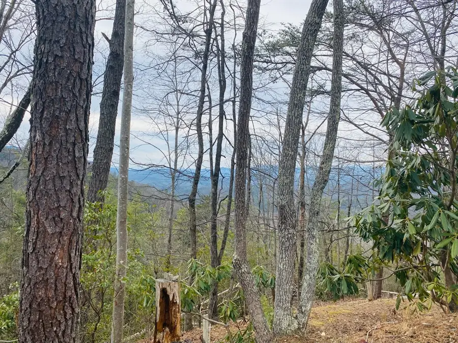 Lot 46 Ridge View Drive, Andrews, NC 28901 - Image #3