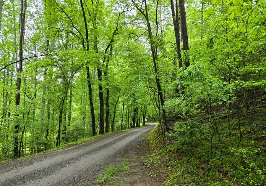 H7 River Sound Village, Hayesville, NC 28904 - #3