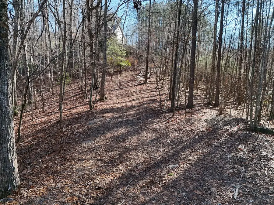 Tract D Carriage Lane Nw, Blairsville, GA 30512 - Image #2