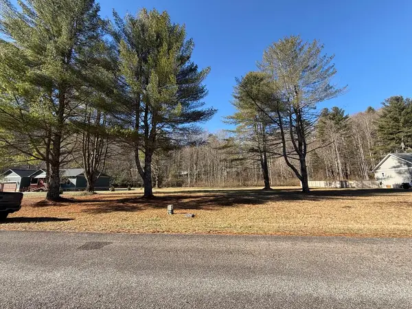 Lot 77 Big Pine Drive, Hiawassee, GA 30546