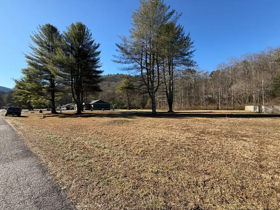 Lot 77 Big Pine Drive, Hiawassee, GA 30546 - #2