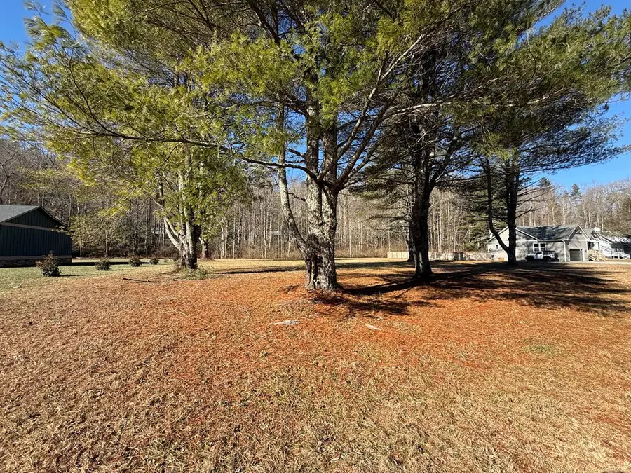 Lot 77 Big Pine Drive, Hiawassee, GA 30546 - #3