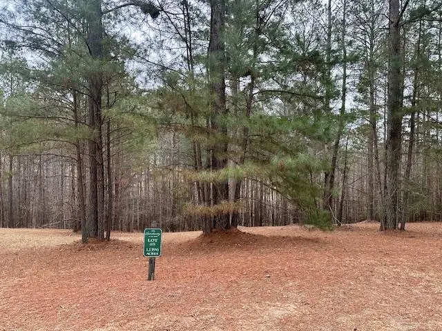 Lot 48 The Sanctuary, Blairsville, GA 30512 - Image #1