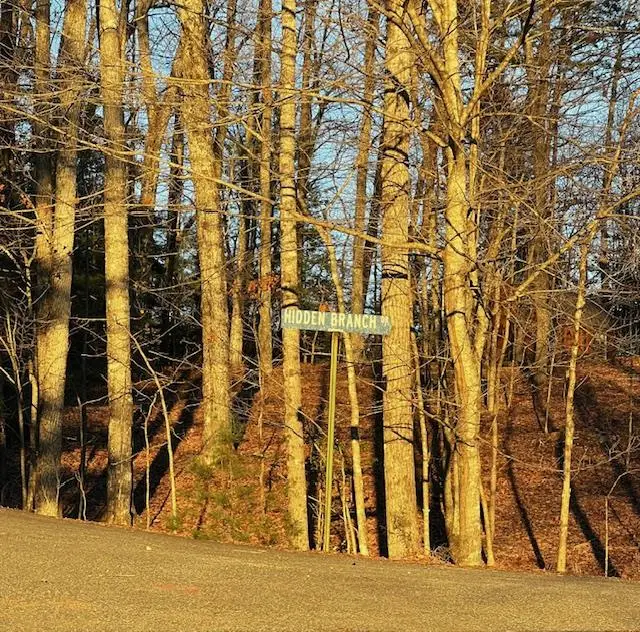 Lot 18 Hidden Branch Drive, Young Harris, GA 30582 - #1